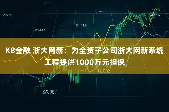 K8金融 浙大网新：为全资子公司浙大网新系统工程提供1000万元担保