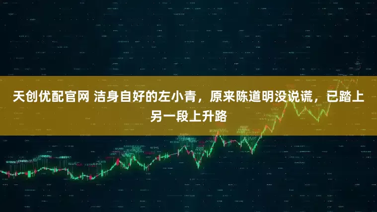 天创优配官网 洁身自好的左小青，原来陈道明没说谎，已踏上另一段上升路